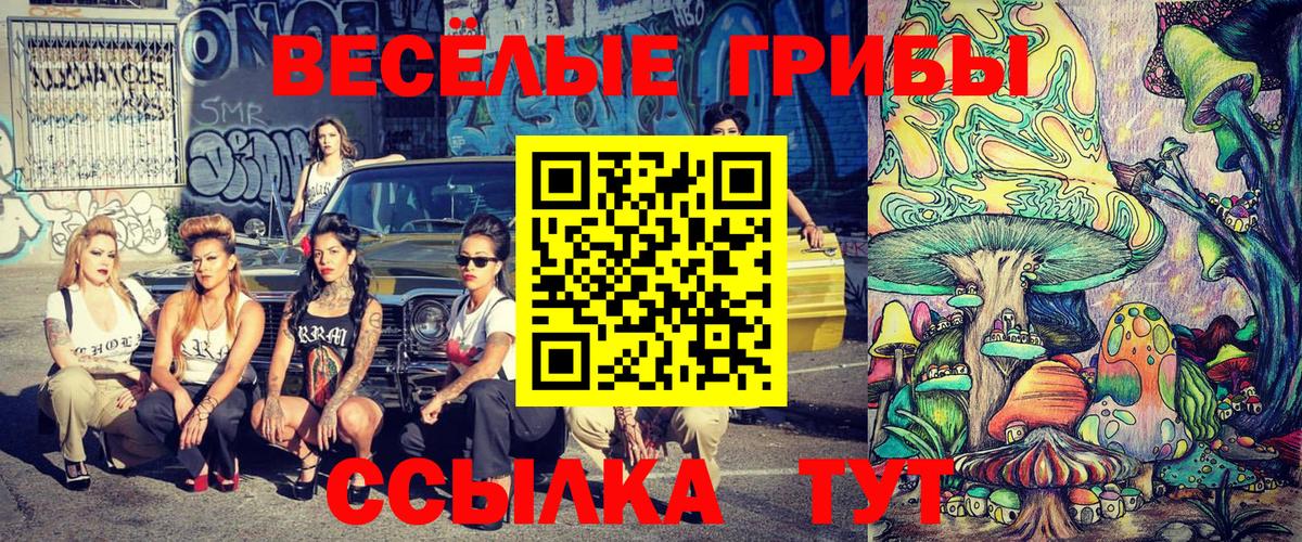 Галлюциногенные грибы мицелий Ессентуки